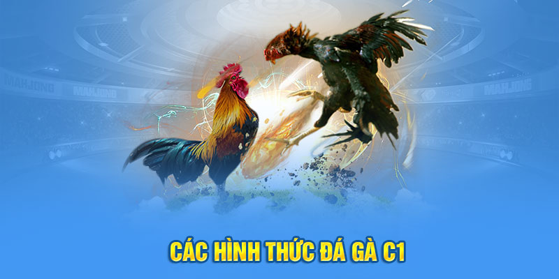 Các hình thức chọi kê C1