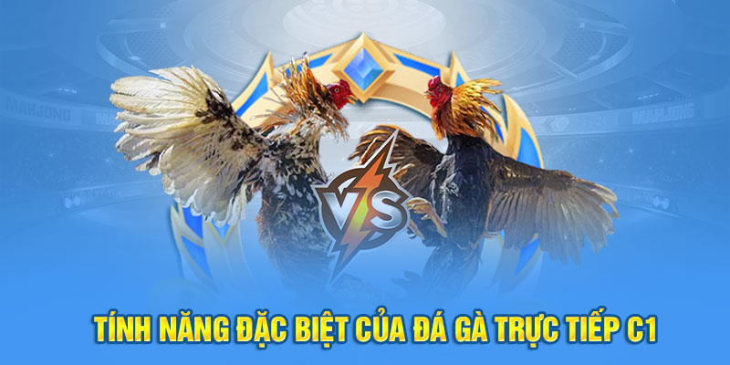 Tính năng đặc biệt của đấu kê trực tiếp giải C1