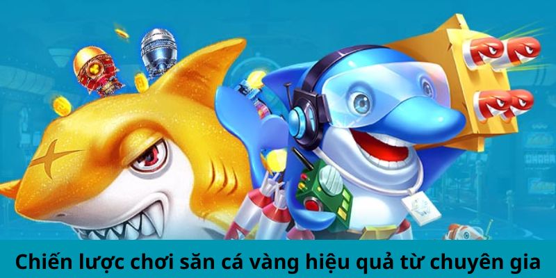 Chiến lược chơi săn cá vàng hiệu quả từ chuyên gia