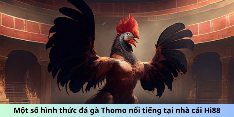 Một số hình thức đá gà Thomo nổi tiếng tại nhà cái Hi88