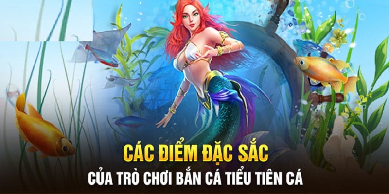 Ưu điểm vượt trội săn cá Tiểu Tiên Cá