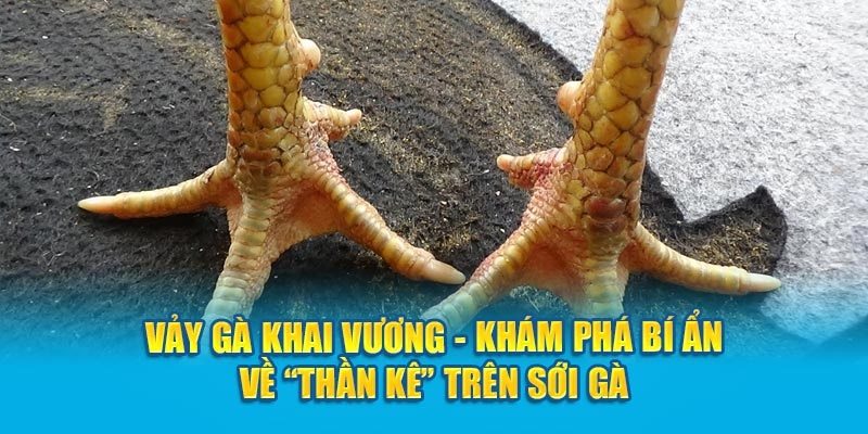 Dạng tam tài khai vương trong truyền thuyết Trung cổ